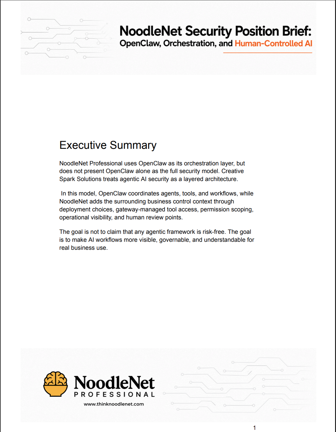NoodleNet Security Position Brief cover